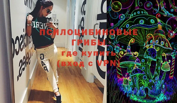 мдма Няндома