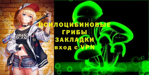 винт Надым