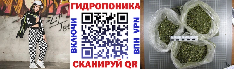 Бошки марихуана MAZAR  Купить  Кольчугино 
